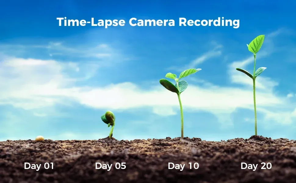 Time Lapse Camera UK Buyer's Guide 2026